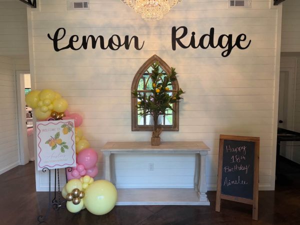 A custom eighteenth birthday setup at Lemon Ridge, featuring a farmhouse-style entrance wall, a themed welcome sign, a pink and yellow balloon garland, and a personalized chalkboard message on a rustic console table.